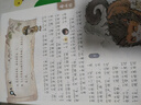 斗半匠漫畫(huà)山海經(jīng)兒童小學(xué)生課外讀物給孩子讀得懂的山海經(jīng)四年級彩圖注音版經(jīng)典讀物兒童故事書(shū)（三冊） 曬單實(shí)拍圖