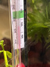 JCZS德國品牌魚(yú)缸加熱棒保溫自動(dòng)迷你加熱器小型養魚(yú)養龜恒溫加熱器水恒溫節能加熱棒25.W 曬單實(shí)拍圖