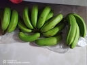 鮮美驚 【順豐包郵】廣西北海潿洲島香蕉火山綠皮青皮蕉無(wú)加劑自然捂熟 5.5斤  潿洲島發(fā)貨 曬單實(shí)拍圖