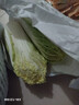 云南高原娃娃菜新鮮蔬菜生鮮乾隆白菜早餐火鍋必備產(chǎn)地直發(fā) 淺黃色 新鮮娃娃菜3顆裝*1包 曬單實(shí)拍圖