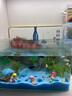 高清熱彎浮法透明玻璃魚(yú)缸客廳家用造景裝飾生態(tài)中小型生態(tài)金魚(yú)缸 熱彎魚(yú)缸-裸缸 長(cháng)35*寬20*高22cm 曬單實(shí)拍圖