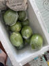 姬幻廣西香水檸檬新鮮一級果應當季水果海南無(wú)籽青檸檬奶茶店專(zhuān)用9斤 5斤裝中大果【單果80-180g】 曬單實(shí)拍圖