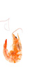 海鮮頌即食大蝦干烤蝦干蝦仁干海蝦干海產(chǎn)干貨零食干蝦海鮮特產(chǎn)源頭直發(fā) 烤蝦干XL 凈重500g 曬單實(shí)拍圖