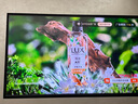 TCL電視 85Q9L-C 85英寸 超級(jí)抗光版 QD-Mini LED 蝶翼玄晶屏 高奢音響 萬(wàn)象分區(qū) DeepSeek 國(guó)家補(bǔ)貼 曬單實(shí)拍圖