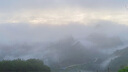 維達（Vinda）抽紙 棉韌壓花立體3層M碼大尺寸 擦手餐巾紙面巾厚棉親膚原生木漿 厚韌如棉 3層 100抽*20包 整箱裝 曬單實(shí)拍圖