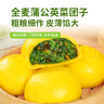 華田禾邦全麥蒲公英膳食包1kg 10個(gè) 手工菜團子粗糧雜糧包 速食早餐半成品 曬單實(shí)拍圖