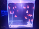 博世機油濾芯/原裝機濾長(cháng)效過(guò)濾適配 適用于遠景 1.5 1.8 曬單實(shí)拍圖