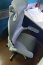 西昊B100Pro 人體工學(xué)椅辦公椅電腦椅子人工力學(xué)座椅【羅永浩推薦】 曬單實(shí)拍圖