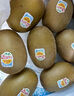 佳沛（zespri）新西蘭  陽(yáng)光金奇異果18粒超大果原箱單果重約173-204g 獼猴桃 曬單實(shí)拍圖