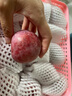 京地達新疆恐龍蛋李子凈重4斤單果60g+京東自營(yíng)新鮮水果 源頭直發(fā)包郵 曬單實(shí)拍圖