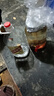 卓譽(yù)【周年慶】瀘州高粱酒自飲泡酒52度清香型白酒桶裝純糧食酒5L散酒 曬單實(shí)拍圖