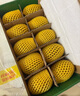 佳沛（zespri）新西蘭陽(yáng)光金果10個(gè)裝單果重約101-124g 中秋水果禮盒 獼猴桃 曬單實(shí)拍圖