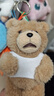 POP MART泡泡瑪特 Ted2 泰迪熊可動(dòng)毛絨掛件周邊衍生品 隨機1個(gè) 不支持七天無(wú)理由退換 曬單實(shí)拍圖