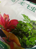 漫生活16L進(jìn)口營(yíng)養土通用型 種菜土養花土進(jìn)口泥炭土椰糠花卉有機土壤 曬單實(shí)拍圖