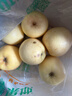 京鮮生山東煙臺(tái)維納斯黃金蘋(píng)果4.5斤裝70-75mm脆甜果香源頭直發(fā)  曬單實(shí)拍圖
