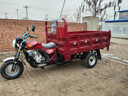 宗申三輪燃油 自卸騎士款水冷三輪摩托車(chē)，整車(chē)包郵 175cc自卸水冷發(fā)動(dòng)機1.3x2 曬單實(shí)拍圖