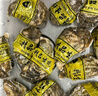 鮮京采 鮮活生蠔3XL 凈重5斤 13-18只 鮮活到家 生鮮海鮮 源頭直發(fā) 曬單實(shí)拍圖