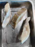 賣(mài)魚(yú)七郎冷凍比目魚(yú)段鰈魚(yú)段凈重3.6斤 去內臟中段深海魚(yú)海鮮水產(chǎn)生鮮魚(yú)類(lèi) 曬單實(shí)拍圖