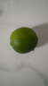 都樂(lè )Dole 塔西提無(wú)籽檸檬 8-12粒 凈重500g 曬單實(shí)拍圖