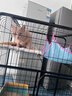 寵樂(lè )乖（CHONGLEGUAI）貓別墅貓籠子帶廁所大號加粗方管貓窩貓舍貓屋家用寵物籠子三層 曬單實(shí)拍圖
