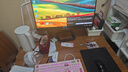 泰坦軍團27英寸 2304分區(qū) MiniLED 4K170Hz雙模340Hz DyDs技術(shù) HDR1400 Type-C 90W 電競顯示器P275MV MAX 曬單實拍圖