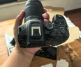佳能r7相機 微單相機 視頻直播高清eos r7 APS-C畫(huà)幅 直播 踏青 打鳥(niǎo)攝影攝像微單 R7 RF-S 18-150 IS STM 套機 套餐一【入門(mén)配置含攝影包+0元升級128G儲卡】 曬單實(shí)拍圖