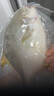 翔泰海南深海金鯧魚(yú)700g 2條 燒烤 火鍋 生鮮魚(yú)類(lèi) BAP認證 海鮮水產(chǎn) 曬單實(shí)拍圖