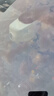盯盯拍K3行車(chē)記錄儀專(zhuān)用于大眾速騰帕薩特探岳途觀(guān)L邁騰高爾夫 64G卡 曬單實(shí)拍圖