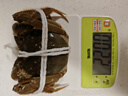 陶華碧老干媽 油辣子大塊牛肉醬730g 貴州特產(chǎn) 熱門(mén)商品 搜索詞 曬單實(shí)拍圖