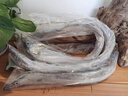 海鼎紀 【釣帶】舟山海釣大帶魚(yú)禮盒3.6斤300-400g/條源頭直發(fā) 曬單實(shí)拍圖