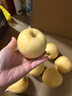 京鮮生山東煙臺維納斯黃金蘋(píng)果凈重4.5斤裝單果80-85mm水果禮盒源頭直發(fā) 曬單實(shí)拍圖