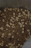 伯納天純鴨肉梨凍干三拼全價(jià)狗糧10kg/20斤 曬單實(shí)拍圖