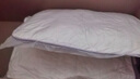 雅鹿乳膠枕頭枕芯一對裝成人深度8H睡眠頸椎枕單人護頸整頭酒店枕頭芯 云端艙-藍邊【升級款】 48*74cm【一對裝】 曬單實(shí)拍圖