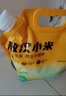 千年谷源敖漢有機黃小米5斤金苗K1月子小米雜糧輔食蒸飯更軟糯中秋送禮 曬單實(shí)拍圖
