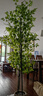 臨雅南天竹仿真綠植室內大型盆栽高端輕奢假花樹(shù)客廳仿生植物落地擺件 【優(yōu)選】1.8米丨四桿+白圓柱盆 曬單實(shí)拍圖