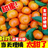 四川新鮮現摘爆甜多汁金秋砂糖橘 9-10斤 5-6斤/小果 曬單實(shí)拍圖