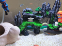 逸樂(lè )寵魚(yú)缸造景套餐假山石頭魚(yú)缸擺件魚(yú)缸造景假山套餐大小擺件 中號假山14B 曬單實(shí)拍圖