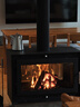 上點(diǎn)壁爐真火家用木柴室內真火壁爐取暖壁爐客廳柴火燒柴壁爐鑄鐵家用 曬單實(shí)拍圖