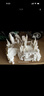 拓竹PLA Basic囤貨套裝六件套 3D打印耗材 凈重6kg RFID智能參數識別 PLA Basic-黑/白/灰/紅/黃/藍（6卷） 含料盤(pán) 曬單實(shí)拍圖