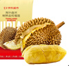 京鮮生京東超市泰國金枕榴蓮2-3斤保3.5房樹(shù)熟冷凍新鮮進(jìn)口水果 曬單實(shí)拍圖