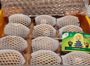 佳沛（zespri）新西蘭  陽光金奇異果10粒禮盒巨大果單果約144-175g 水果 獼猴桃 曬單實(shí)拍圖