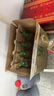 牛欄山二鍋頭百年白酒珍品陳釀20 土豪金濃香型整箱過(guò)年送禮長(cháng)輩年貨 42度 0.5L 8瓶 綠標整箱虎年生肖版 曬單實(shí)拍圖