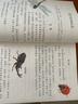 新華書(shū)店小學(xué)三年級下冊語(yǔ)文書(shū)人教版三年級下冊語(yǔ)文書(shū)課本教材教科書(shū)3下語(yǔ)文三年級下冊語(yǔ)文課本人民教育出版社2025正版新版復習預習用書(shū) 【人教版】三年級下冊語(yǔ)文 曬單實(shí)拍圖
