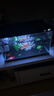 米家（MIJIA）智能生態(tài)魚(yú)缸還原自然生態(tài) 智能魚(yú)缸+濾芯套裝 曬單實(shí)拍圖