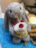 Jellycat害羞生日米色邦尼兔動(dòng)物毛絨玩偶安撫禮物娃娃生日新婚禮物 害羞生日米色邦尼兔 Medium 曬單實(shí)拍圖