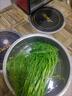 順豐包郵茴香菜新鮮茴香苗現摘頭茬葷香嫩葉回香小茴香餃子餡蔬菜 茴香帶根半斤 曬單實(shí)拍圖