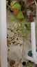 闊庭（KUOTING）魚(yú)缸懶人魚(yú)缸家用客廳辦公室金魚(yú)缸過(guò)濾魚(yú)缸白色款 曬單實(shí)拍圖