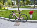 坎普RADON 公路車(chē)單車(chē)圈剎運動(dòng)賽車(chē)碳纖維前叉自行車(chē) 粉色18速 460碼 曬單實(shí)拍圖