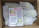 亨迅煙臺太婆梨山東梨子啤梨香蕉梨大頭梨茄梨軟梨新鮮水果生鮮 實(shí)惠5斤裝（凈重4.5斤） 香甜軟糯|核心產(chǎn)區直發(fā)|放軟后吃 曬單實(shí)拍圖