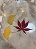 皓梵潔樹(shù)葉標本干花干樹(shù)葉葉子樹(shù)葉手工diy材料包葉子標本植物壓花裝飾 diy樹(shù)葉畫(huà)【隨機13款35片】 曬單實(shí)拍圖